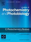 Journal Of Photochemistry And Photobiology C-photochemistry Reviews