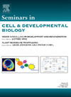 Seminars In Cell & Developmental Biology