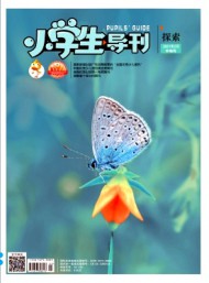 小学生导刊·中年级